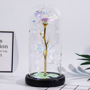 Flower Preserved Eternal Glass Dome Gift Decor
