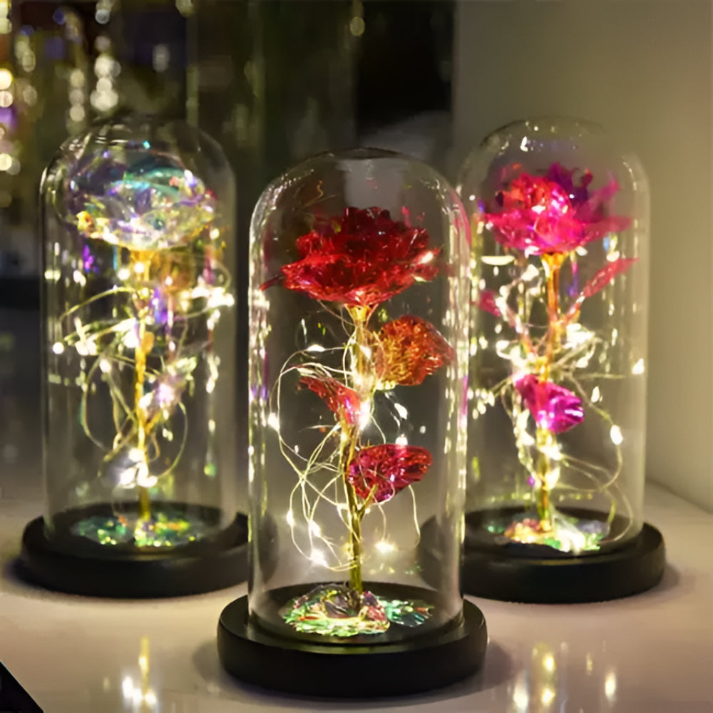 Flower Preserved Eternal Glass Dome Gift Decor