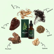 Mullein Extract Lung Health Natural Supplement