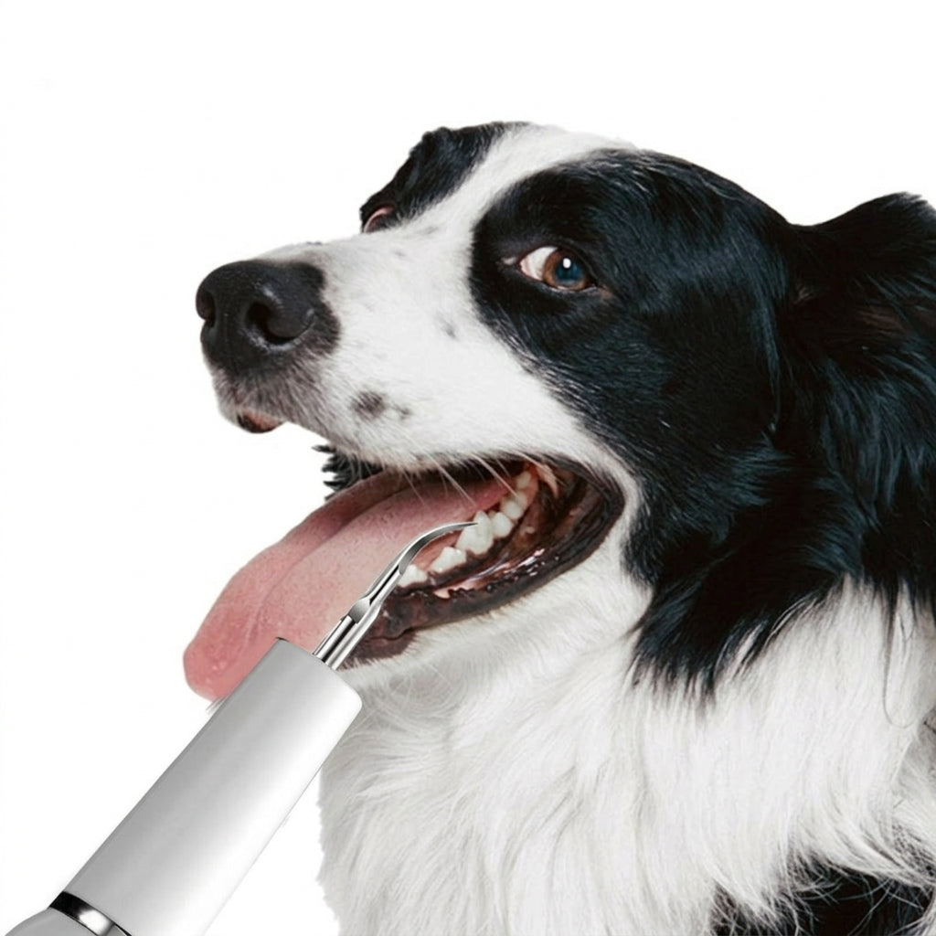 Ultrasonic Dog Dental Cleaner Plaque Removal Home