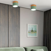 Ceiling Small Flush Mount Modern Metal Cylinder - Image 20