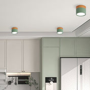 Ceiling Small Flush Mount Modern Metal Cylinder - Image 21