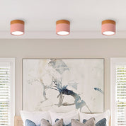 Ceiling Small Flush Mount Modern Metal Cylinder - Image 23