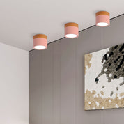 Ceiling Small Flush Mount Modern Metal Cylinder - Image 26