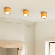 Ceiling Small Flush Mount Modern Metal Cylinder - Image 31