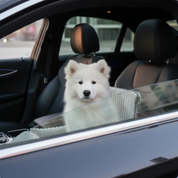 Cozy Dog Car Seat Safe Travel Soft Plush Pet Booster Seat - Image 4