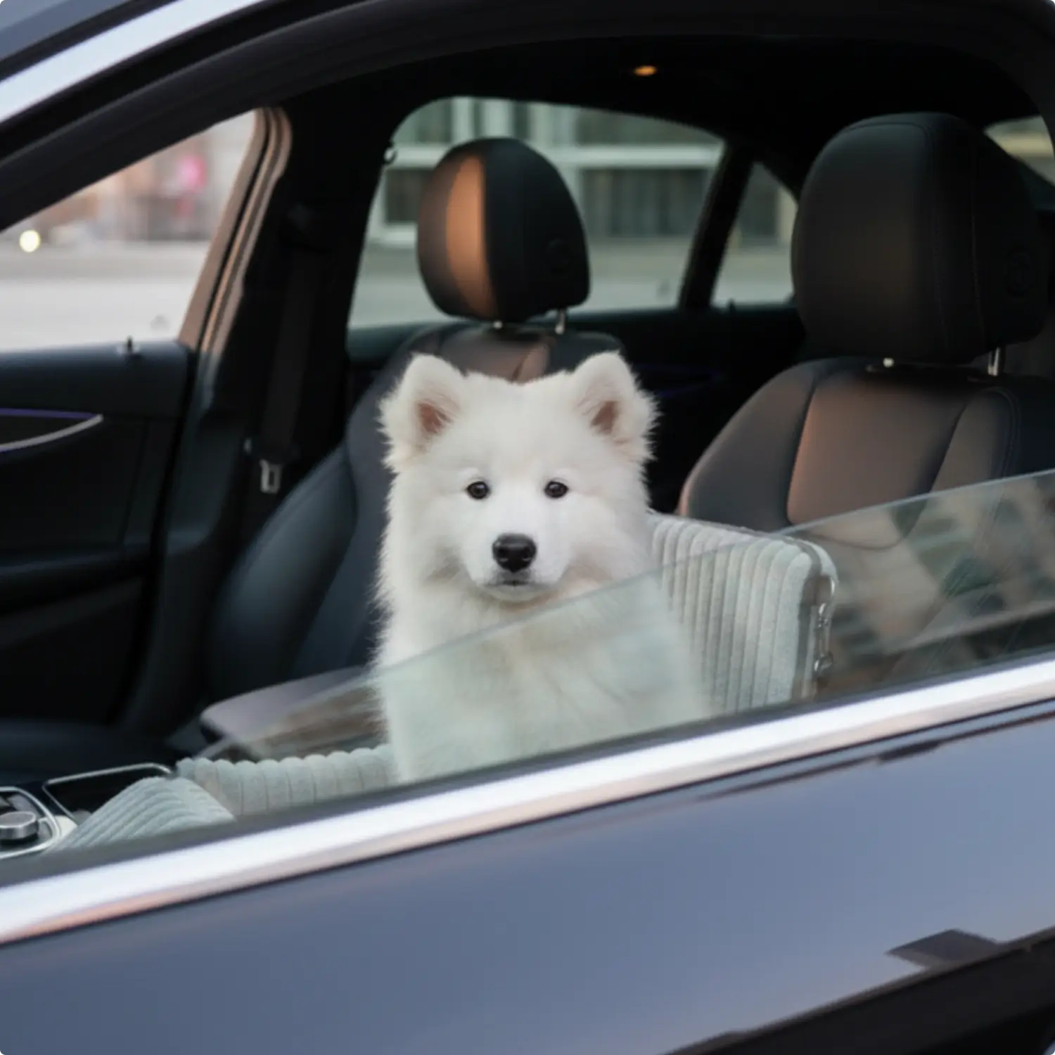 Cozy Dog Car Seat Safe Travel Soft Plush Pet Booster Seat - Image 4