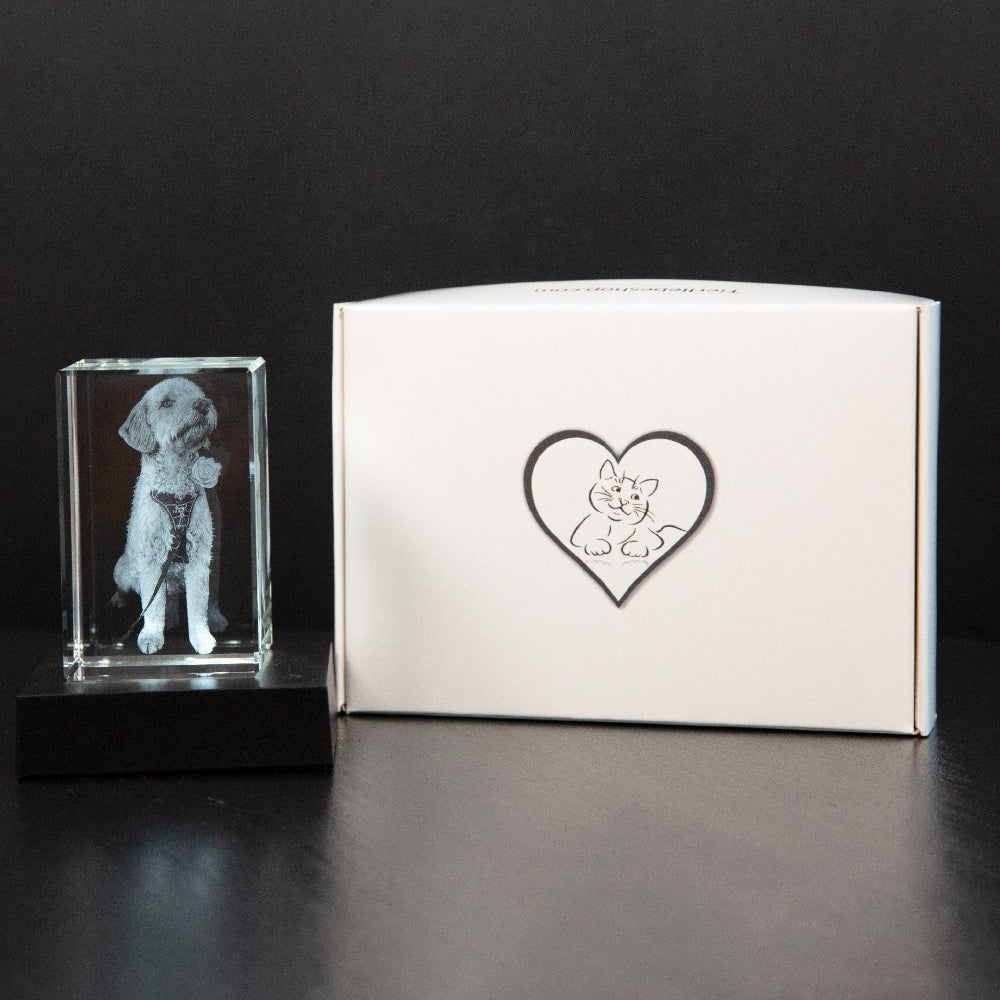 Custom Photo Crystal Keepsake Personalized 3D Art Display Memories - Image 10