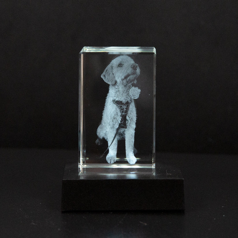 Custom Photo Crystal Keepsake Personalized 3D Art Display Memories - Image 8