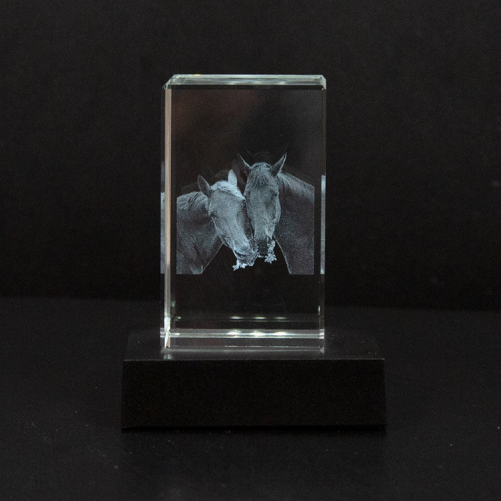 Custom Photo Crystal Keepsake Personalized 3D Art Display Memories - Image 9