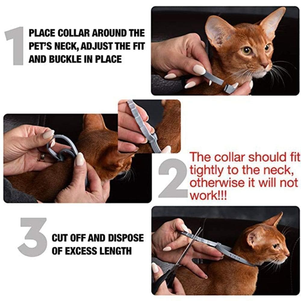 Flea and Tick Collar and 8 Months Protection - Image 3