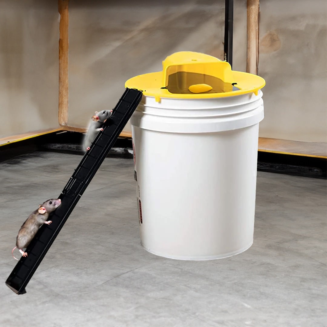 Humane Mouse Trap Bucket Ramp Safe Catch and Release - Image 1