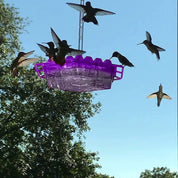 Hummingbird Feeder Ant Moat Outdoor Hanging Use - Image 1