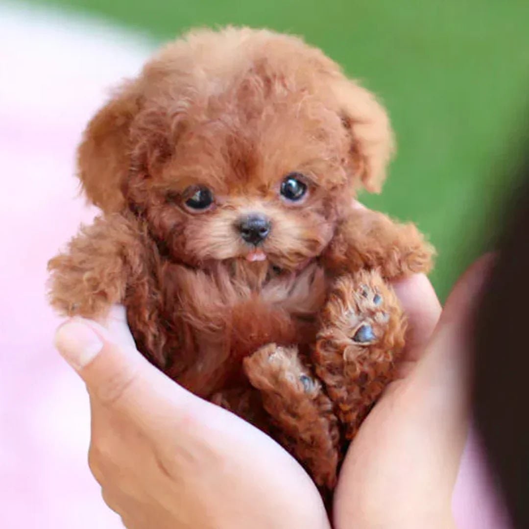 Interactive Dog Toy Plush Realistic Pet Companion Tail Wagging - Image 1