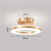 Modern LED Ceiling Hallway Iron Fixture Contemporary Design - Image 7