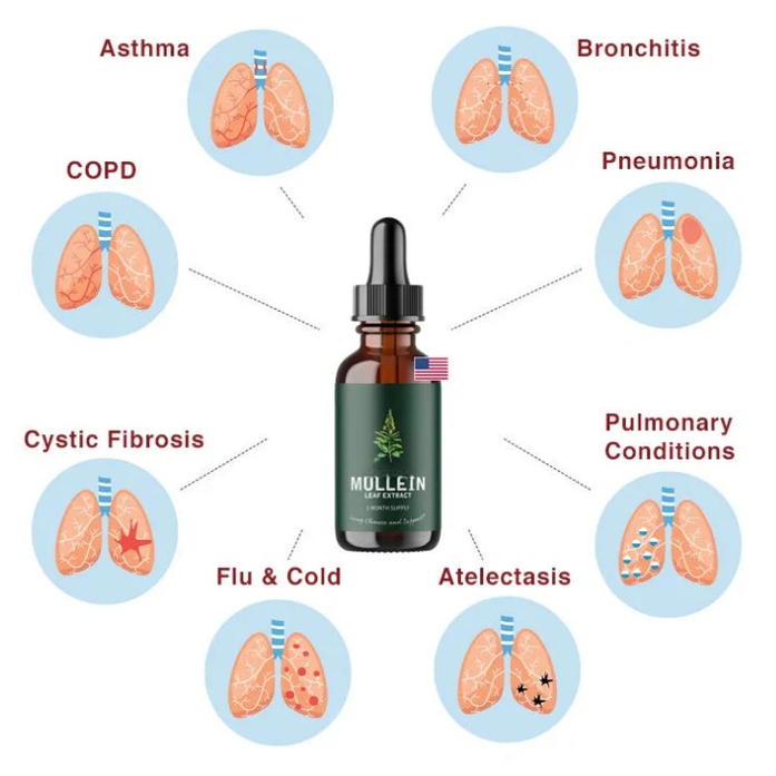 Mullein Extract Lung Health Natural Supplement 1 Month - Image 2