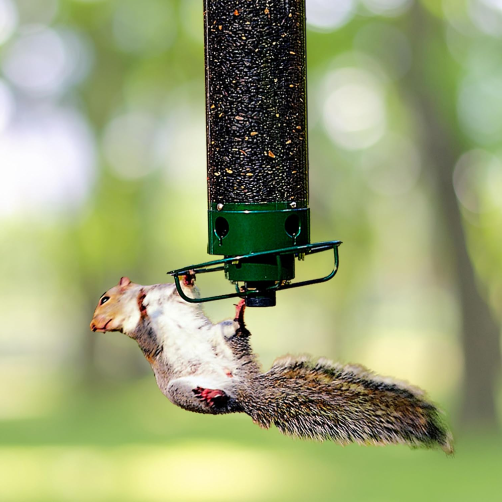Squirrel Proof Bird Feeder Hanging Outdoor Garden Decor - Image 1