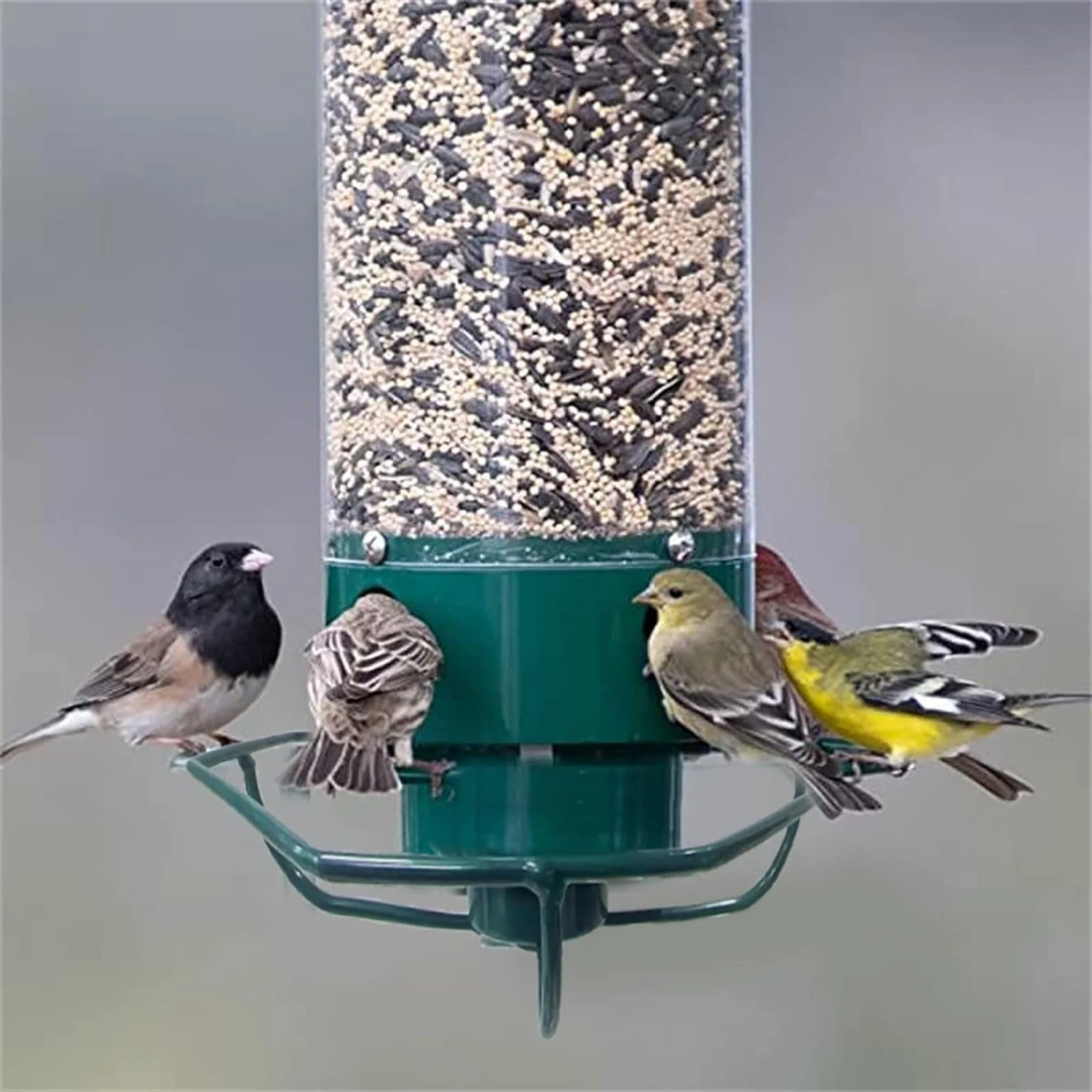 Squirrel Proof Bird Feeder Multi Port Design Easy Fill - Image 7