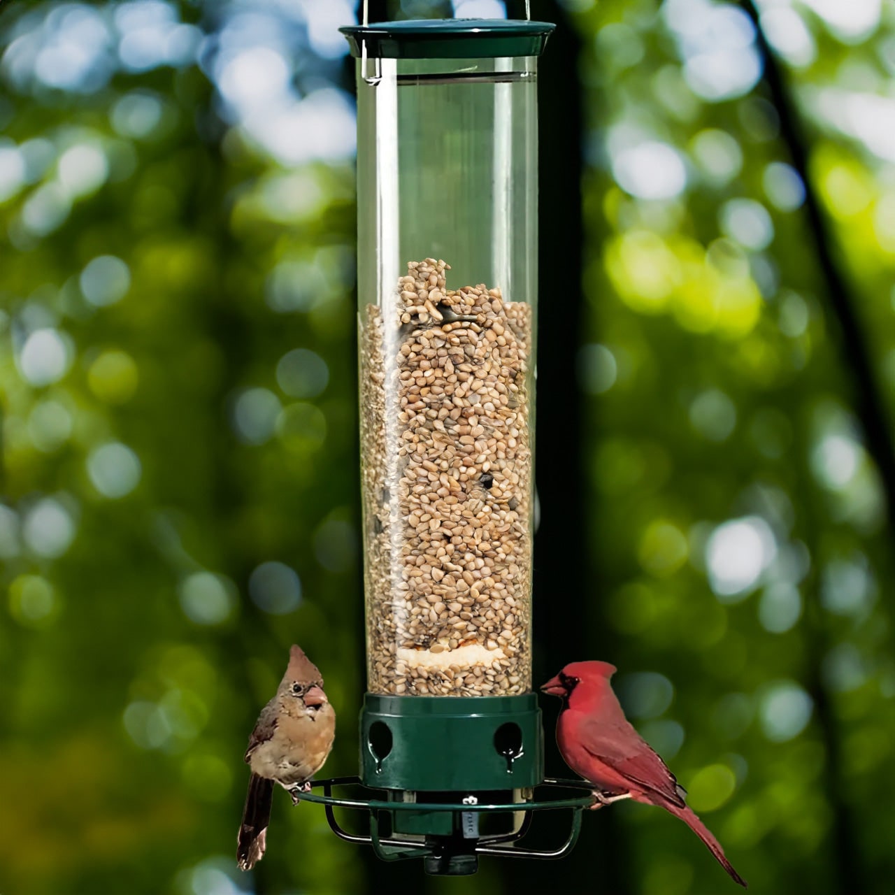 Squirrel Proof Hummingbird Feeder Outdoor Bird Feeding - Image 1