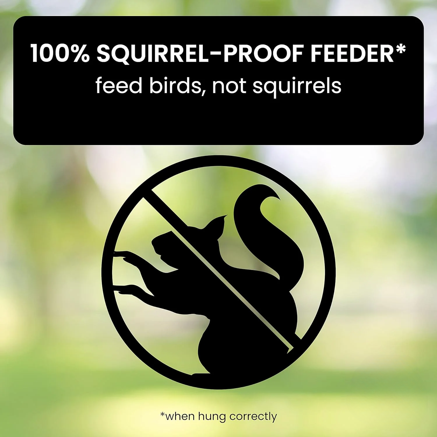 Squirrel Proof Hummingbird Feeder Outdoor Bird Feeding - Image 2