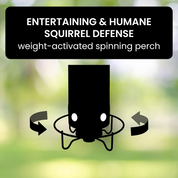 Squirrel Proof Hummingbird Feeder Outdoor Bird Feeding - Image 4